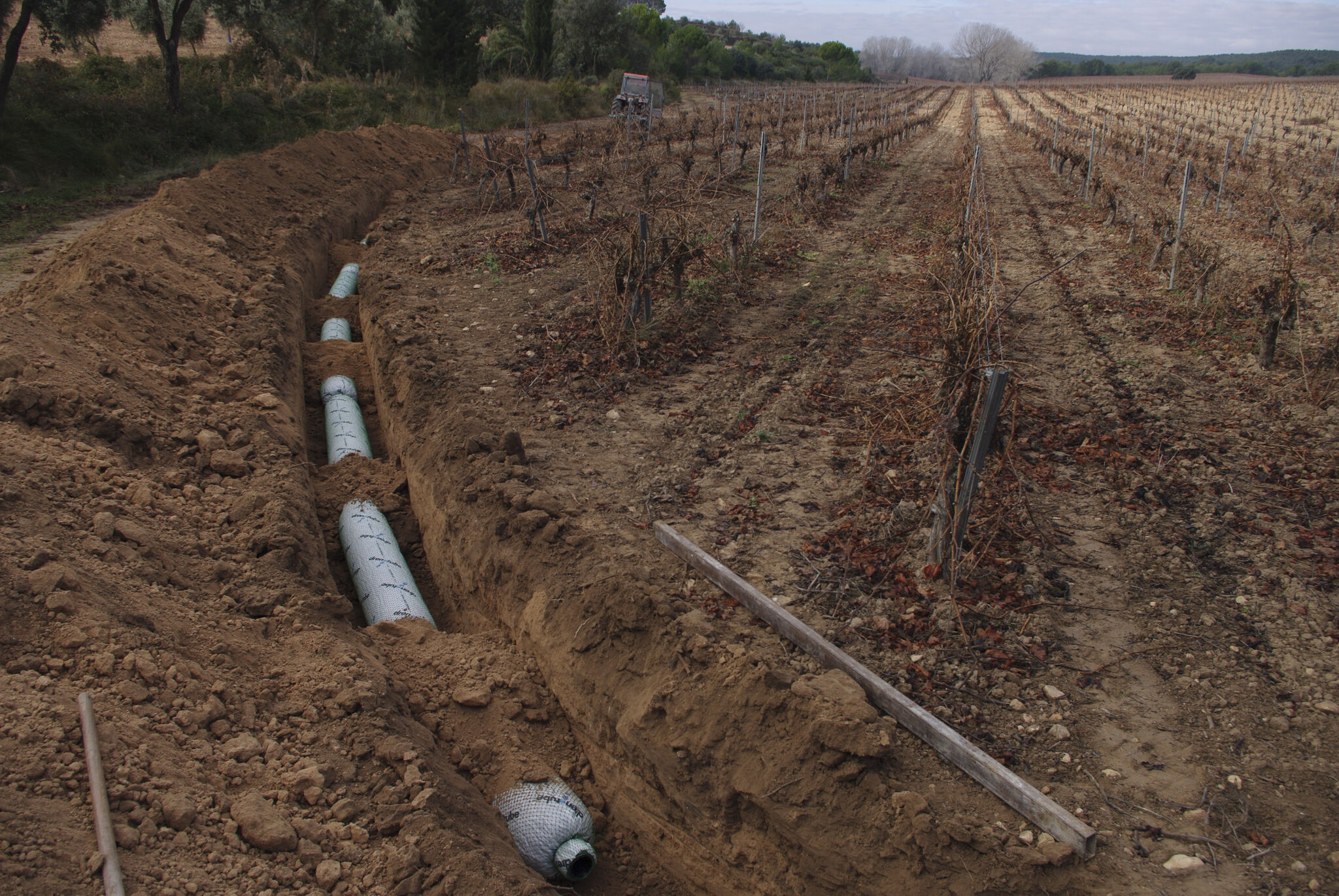 Instalación de drenotube® para viñedos en Cataluña