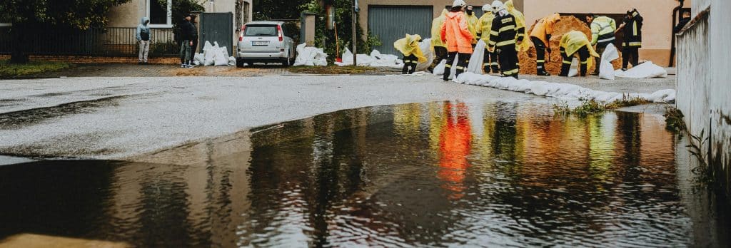 pexels helen1 28447789 1